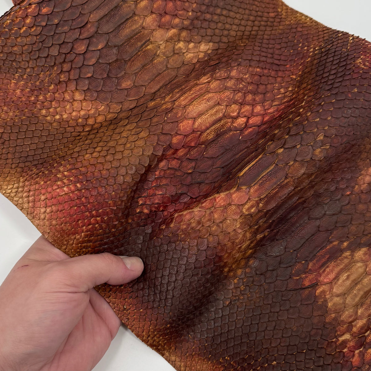 Autumn Leaf Short Tail Python | SALE | LAST 2 HIDES!