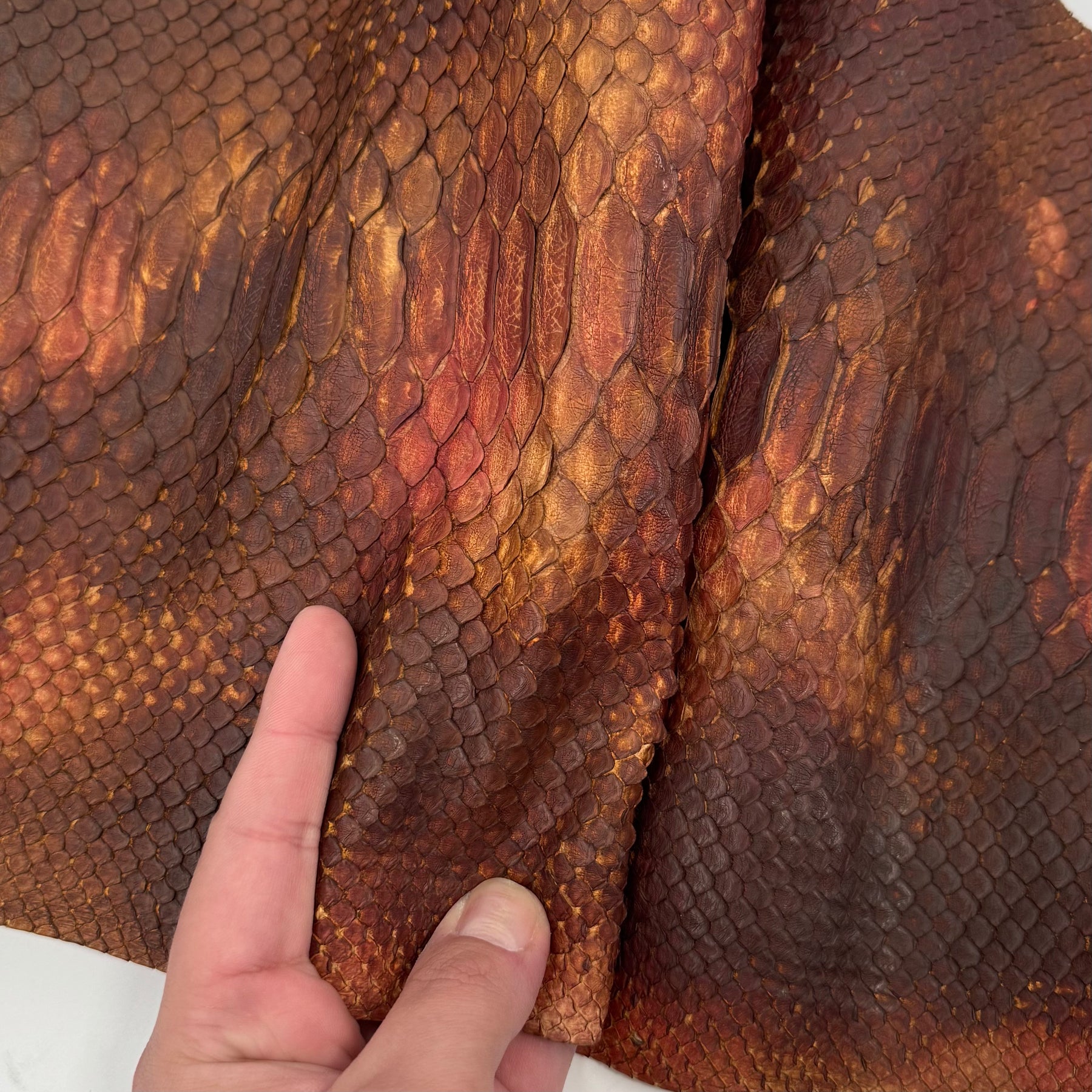 Autumn Leaf Short Tail Python | SALE | LAST 2 HIDES!