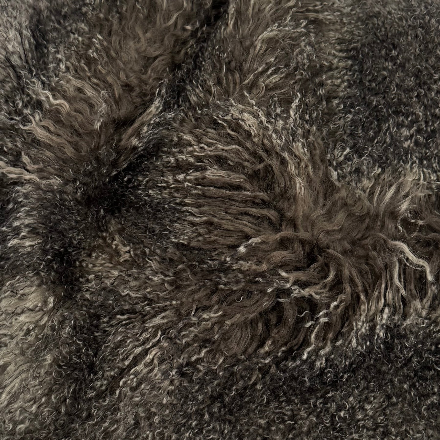 Mongolian Curly Lamb Plate | Ships in 4-5 Days