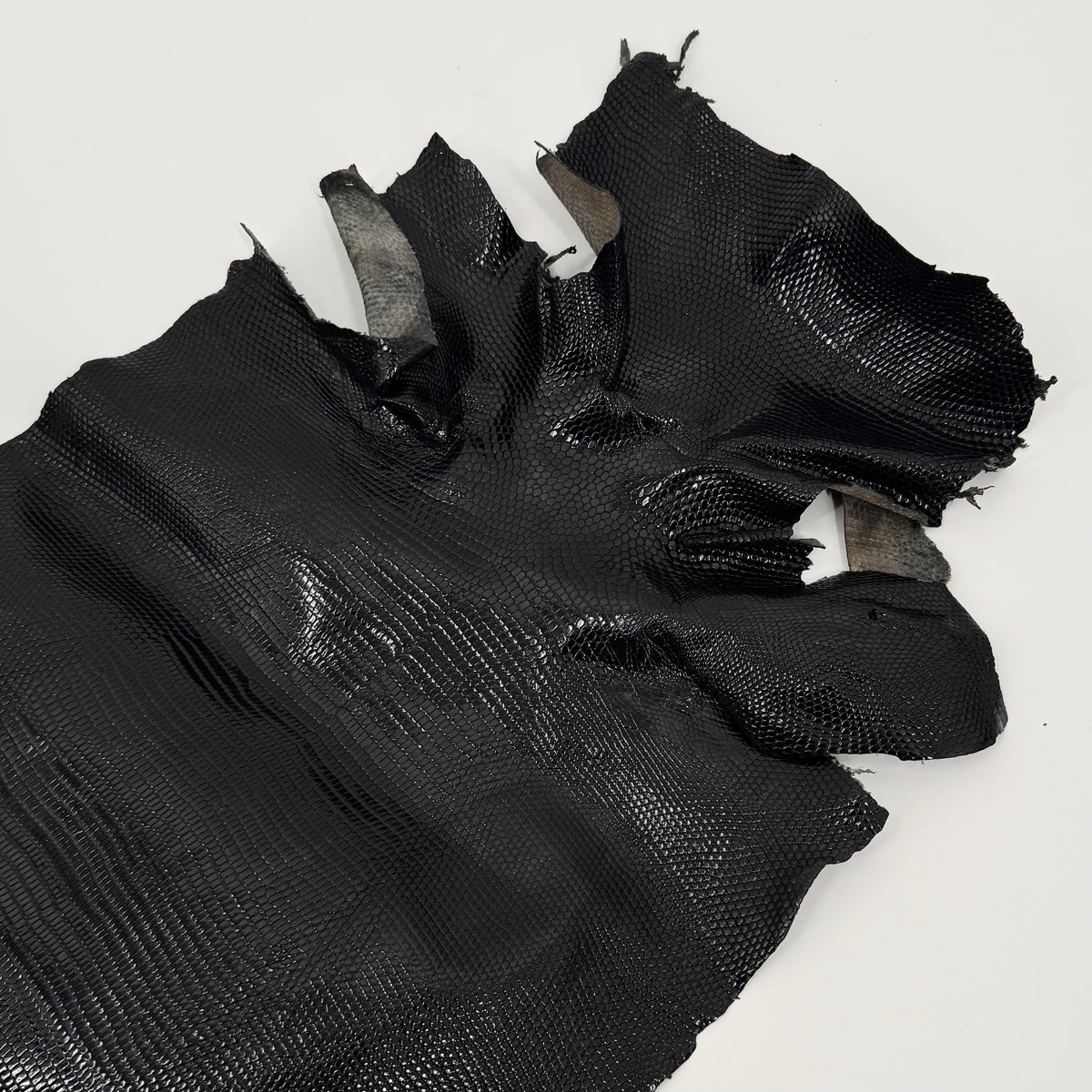 Extra Large Black Lizard Skins | Sale