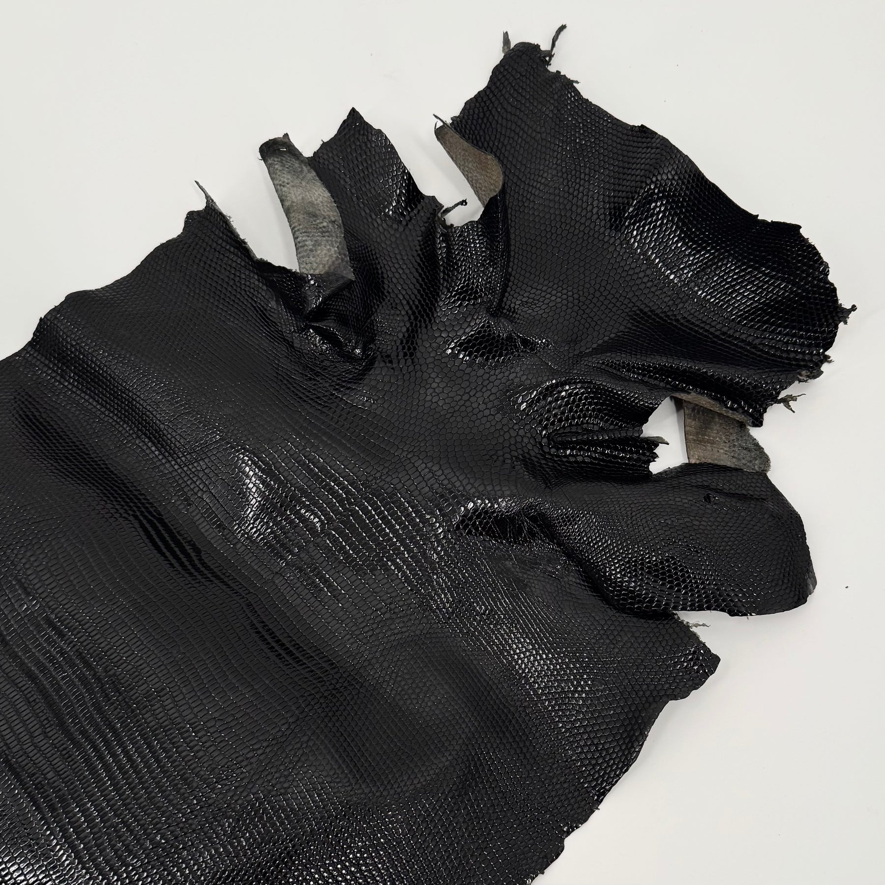 Extra Large Black Lizard Skins | Sale