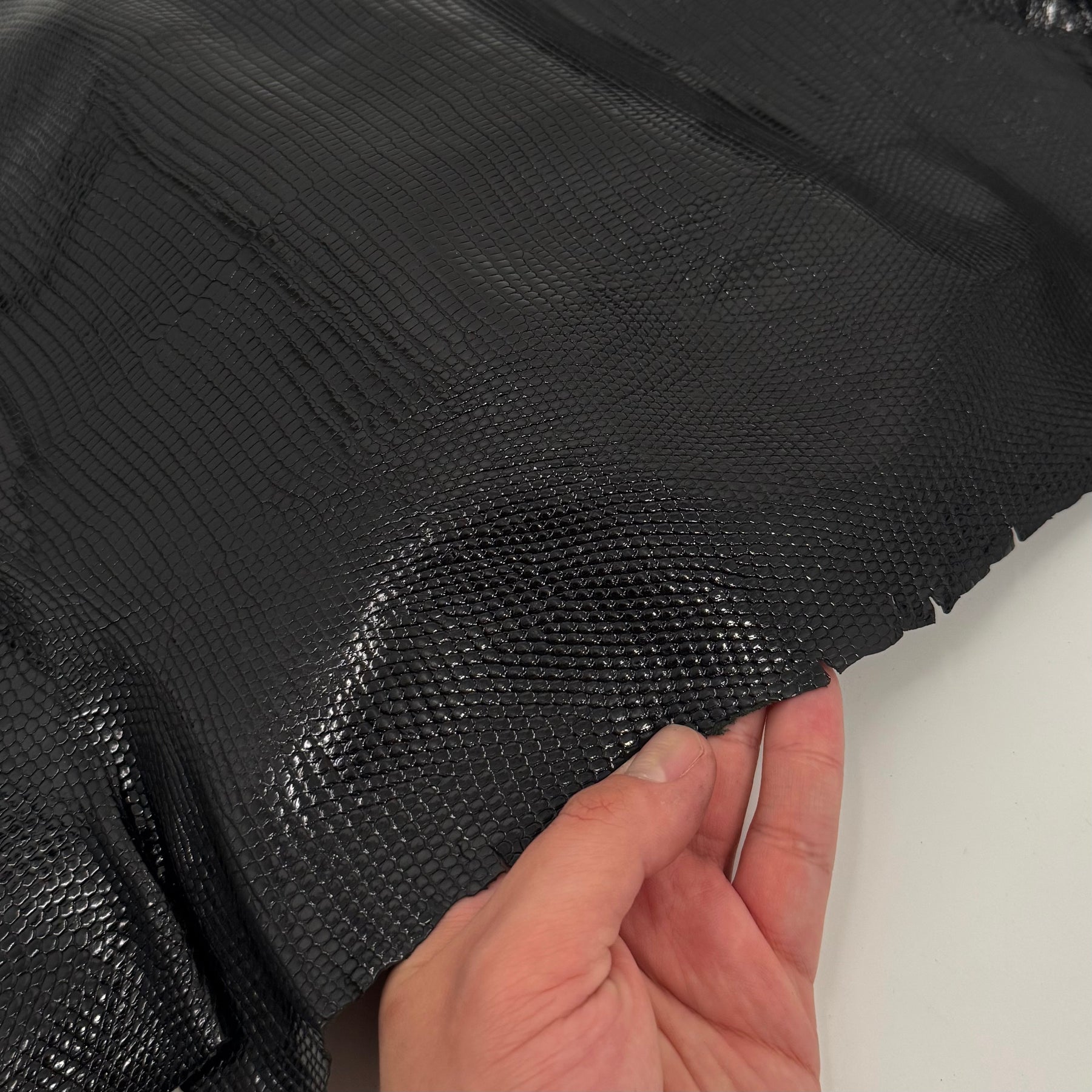 Extra Large Black Lizard Skins | Sale