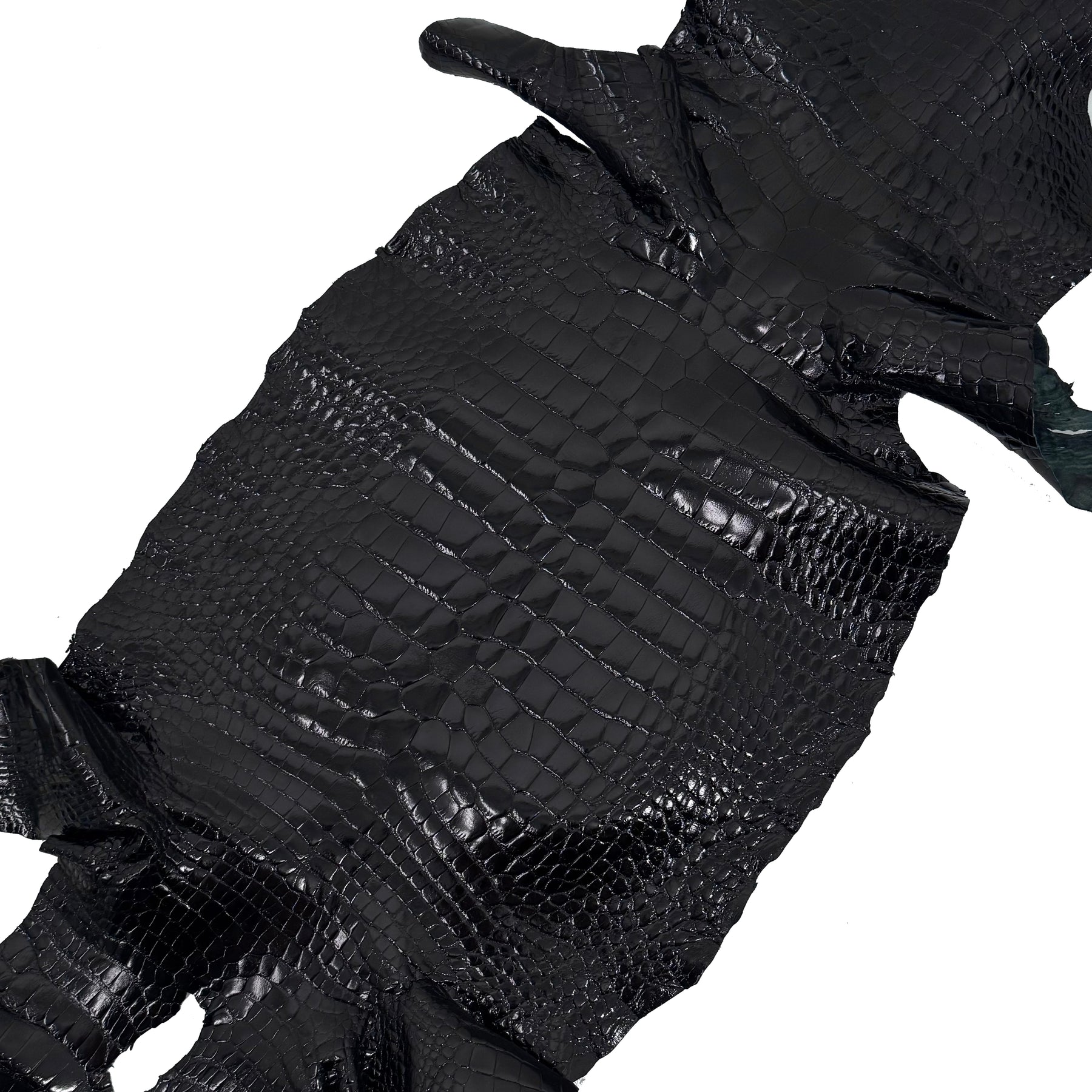 Glazed Black Alligator | Sale