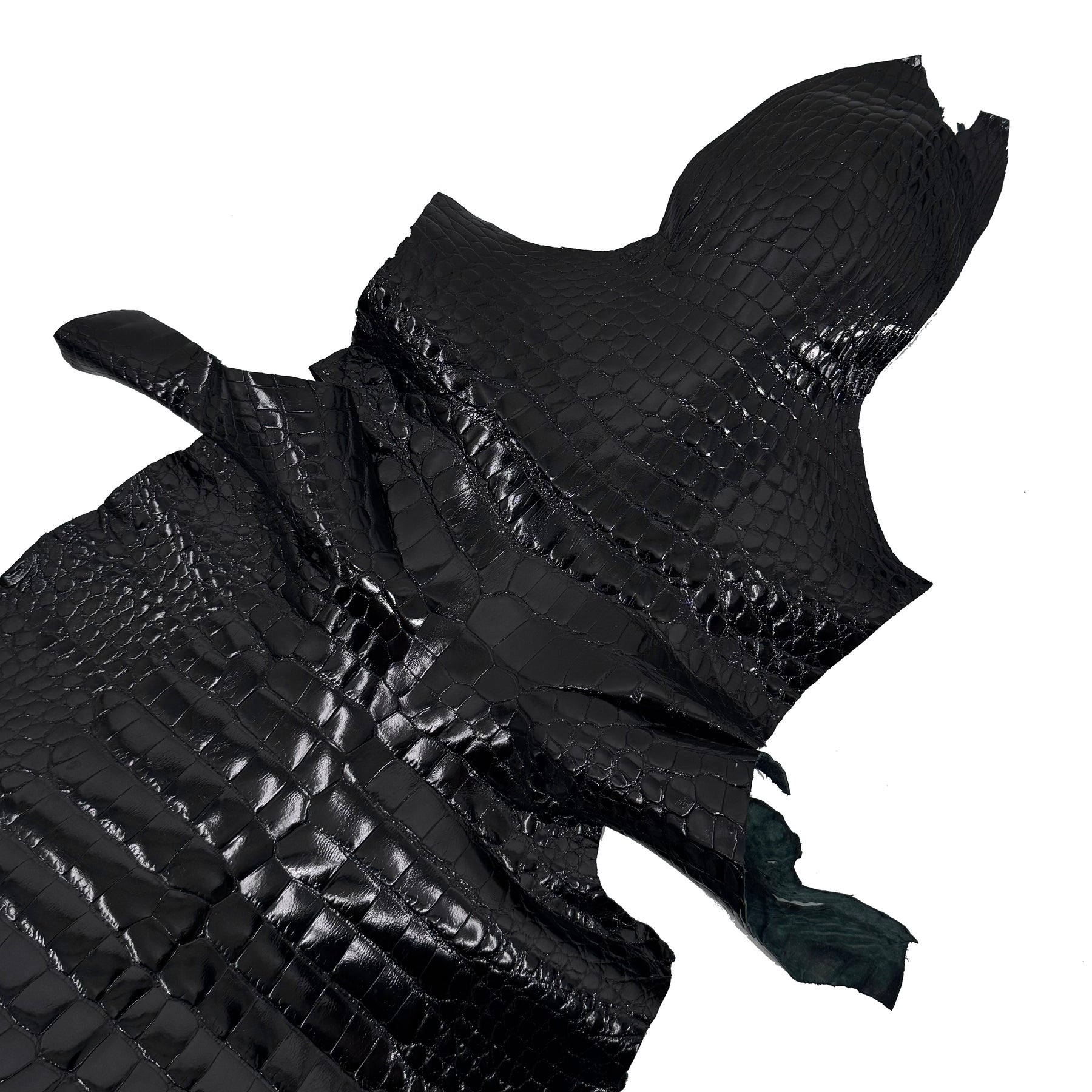 Glazed Black Alligator | Sale
