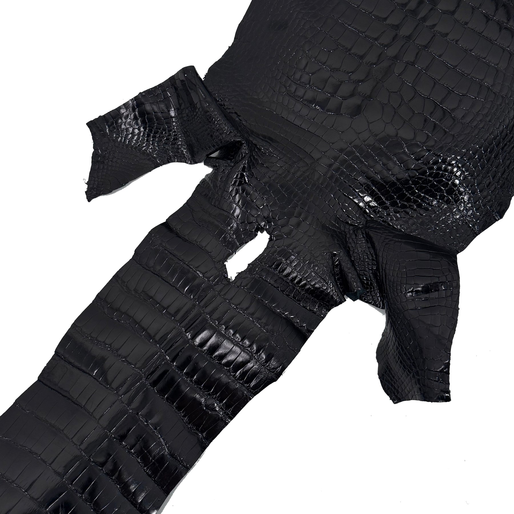 Glazed Black Alligator | Sale