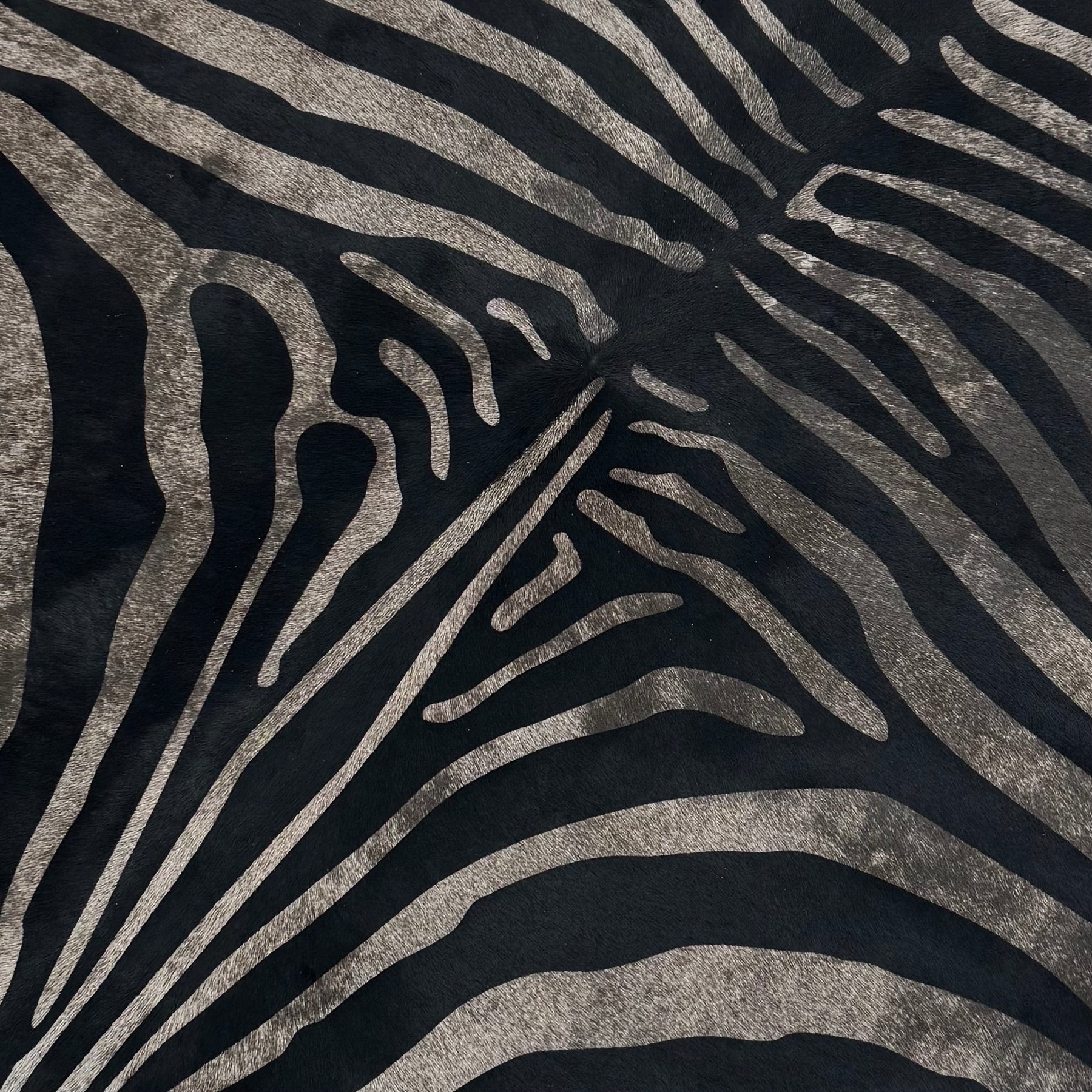 Zebra Hair-On Cavalino | Short Hair