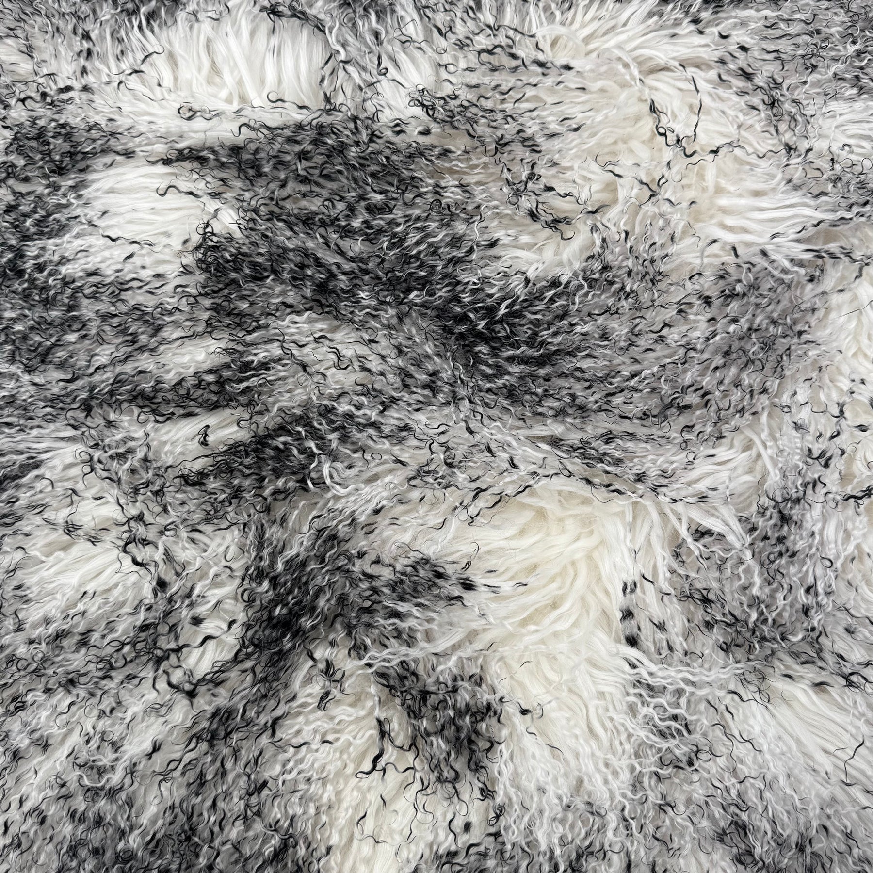 Mongolian Curly Lamb Plate in Winter Frost | Limited Stock