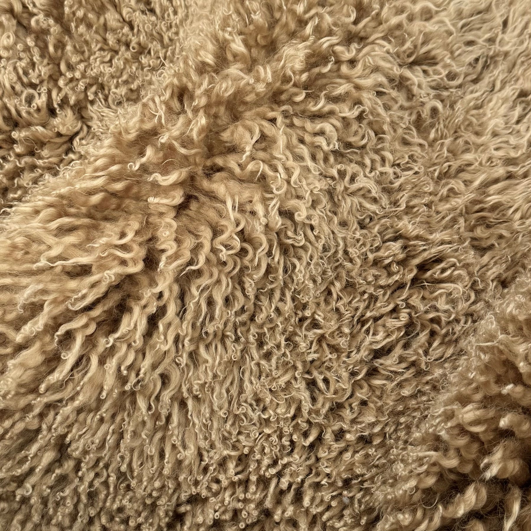 Skandilock Curly Longwool New Zealand