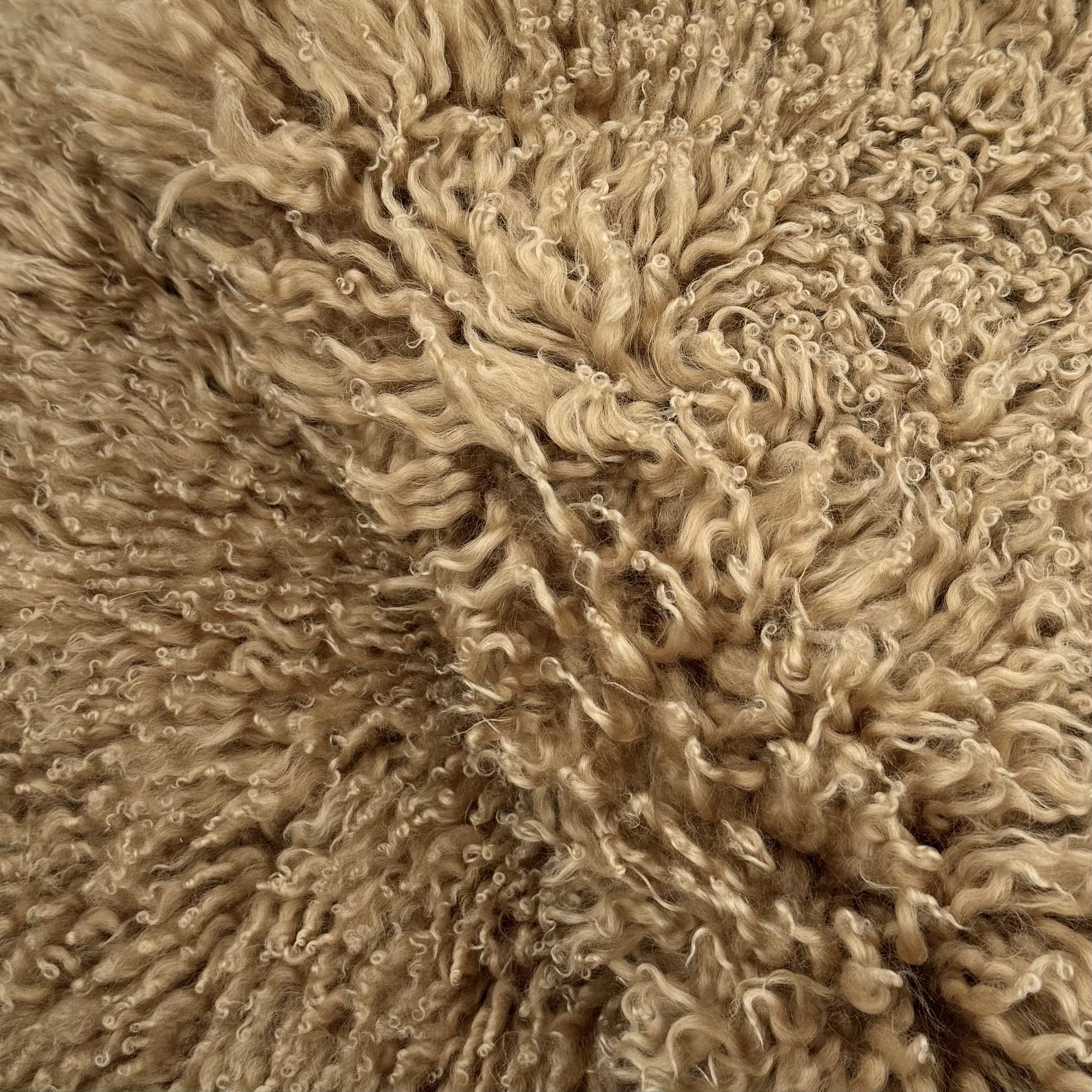 Skandilock Curly Longwool New Zealand