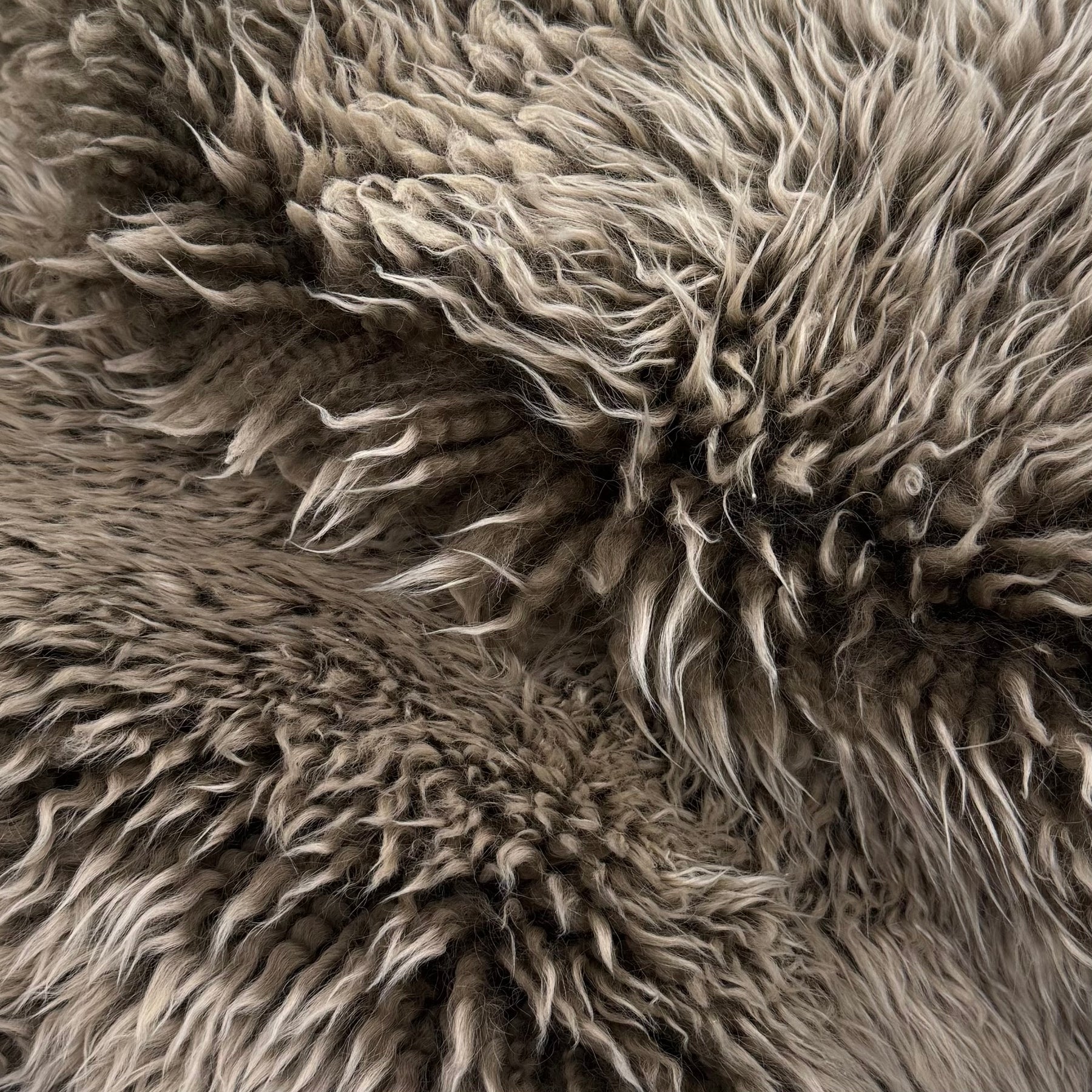 Skandilock Curly Longwool New Zealand