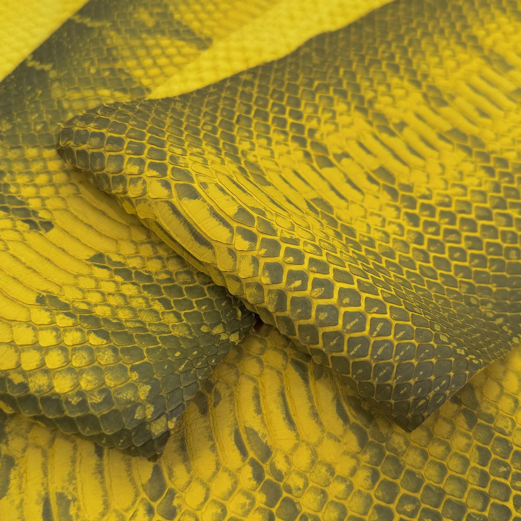 Yellow Genuine Elaphe Snakeskin | SALE