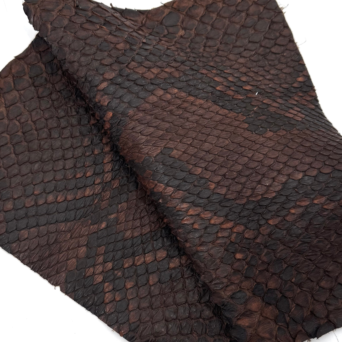 Dark Brown Python Cut #1A - Only 1 Available! | SALE