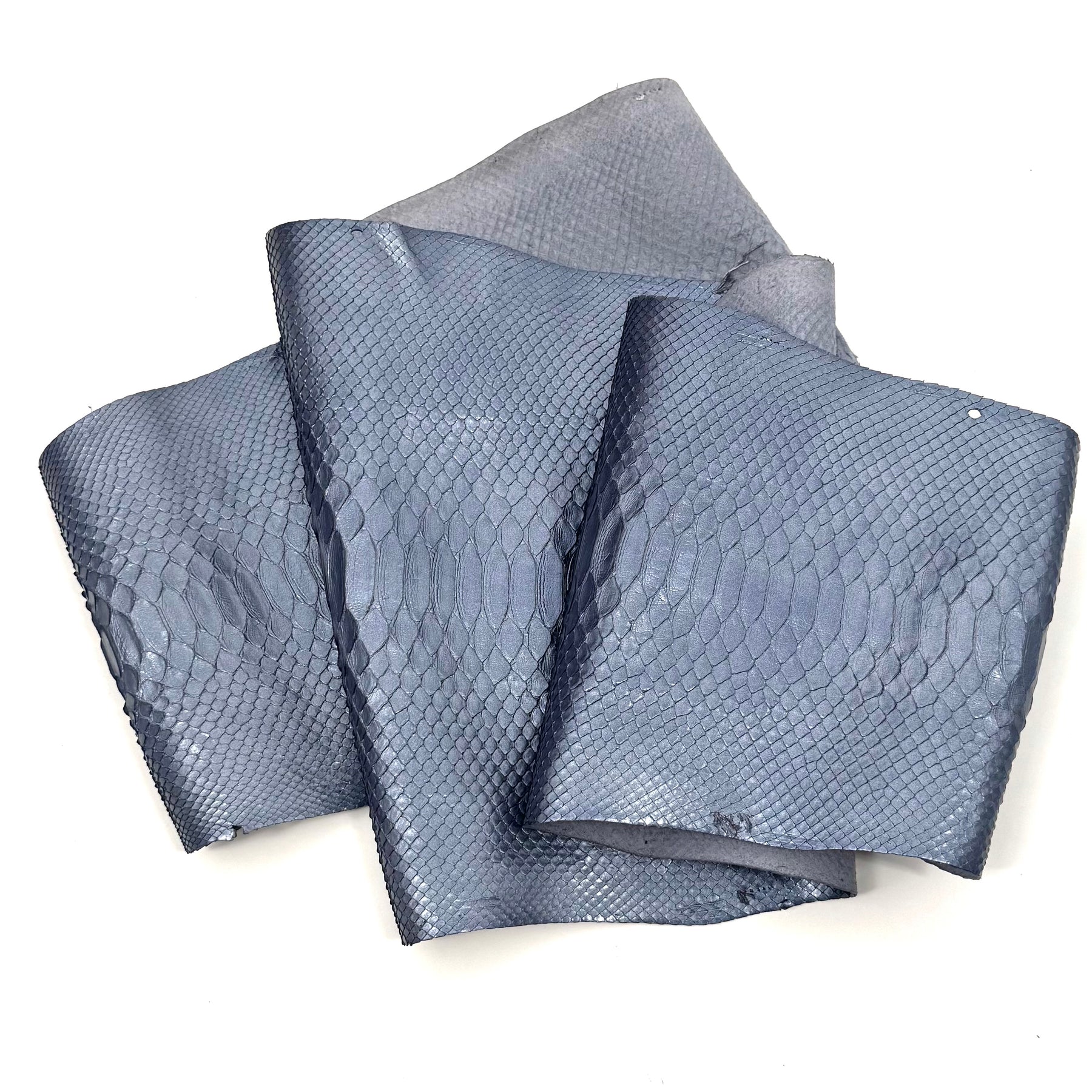 Ice Short Tail Python - Only 2 Available! | SALE