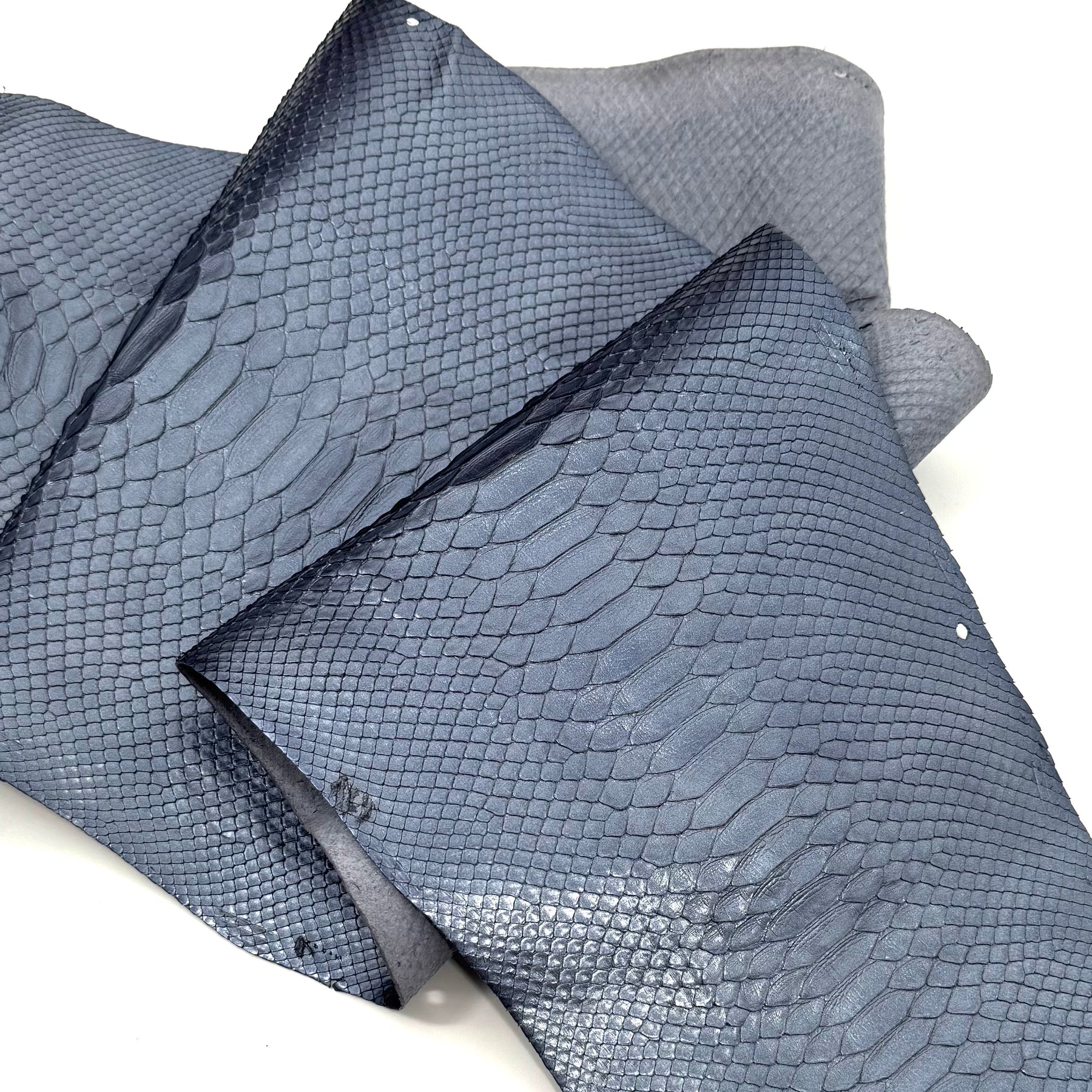 Ice Short Tail Python - Only 2 Available! | SALE