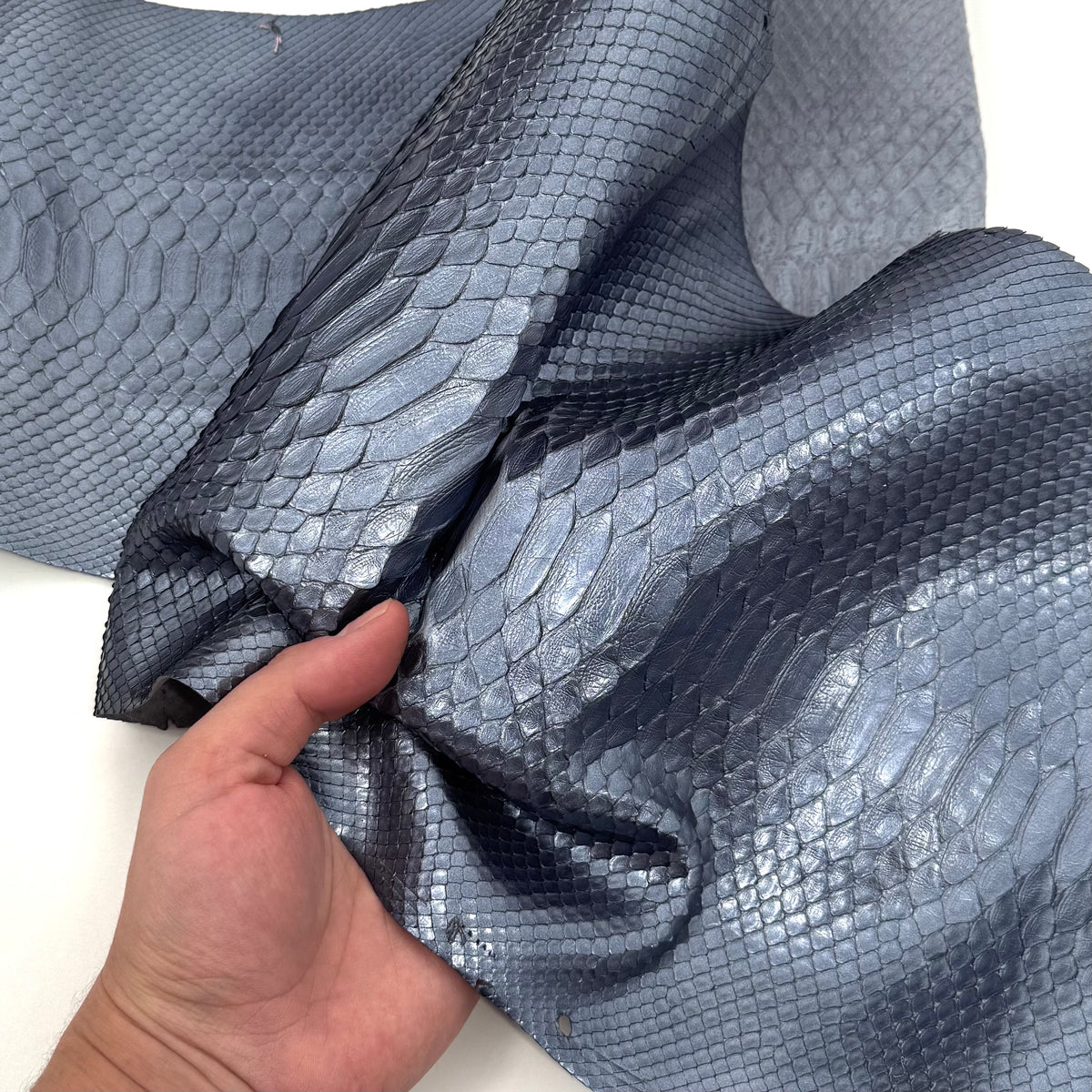 Ice Short Tail Python - Only 2 Available! | SALE