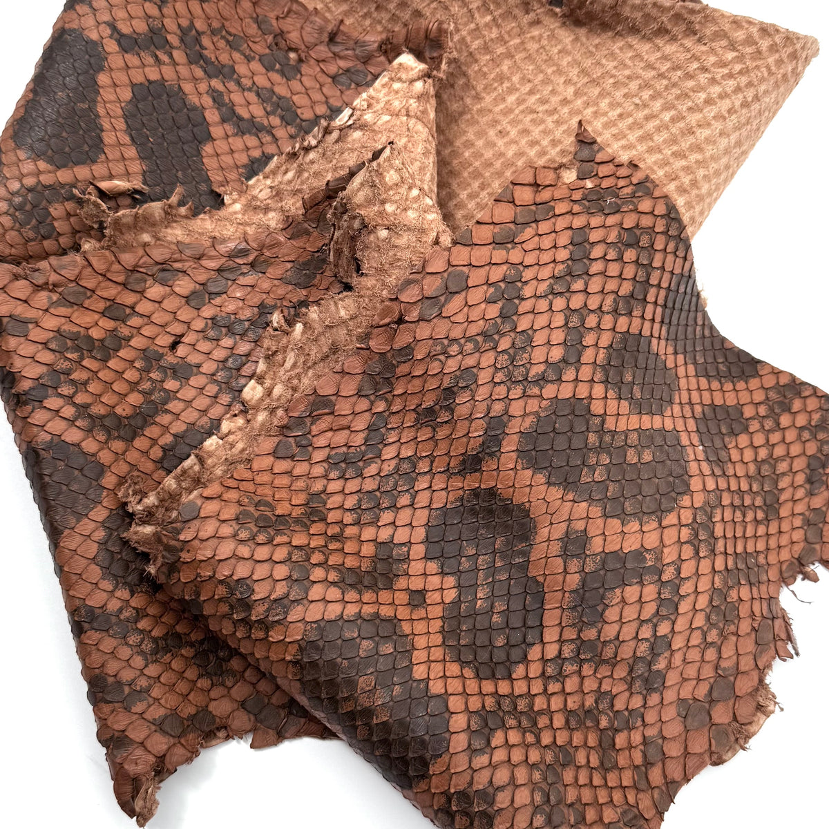 Pumpkin Brown Python Cut #6A - Only 1 Available! | SALE