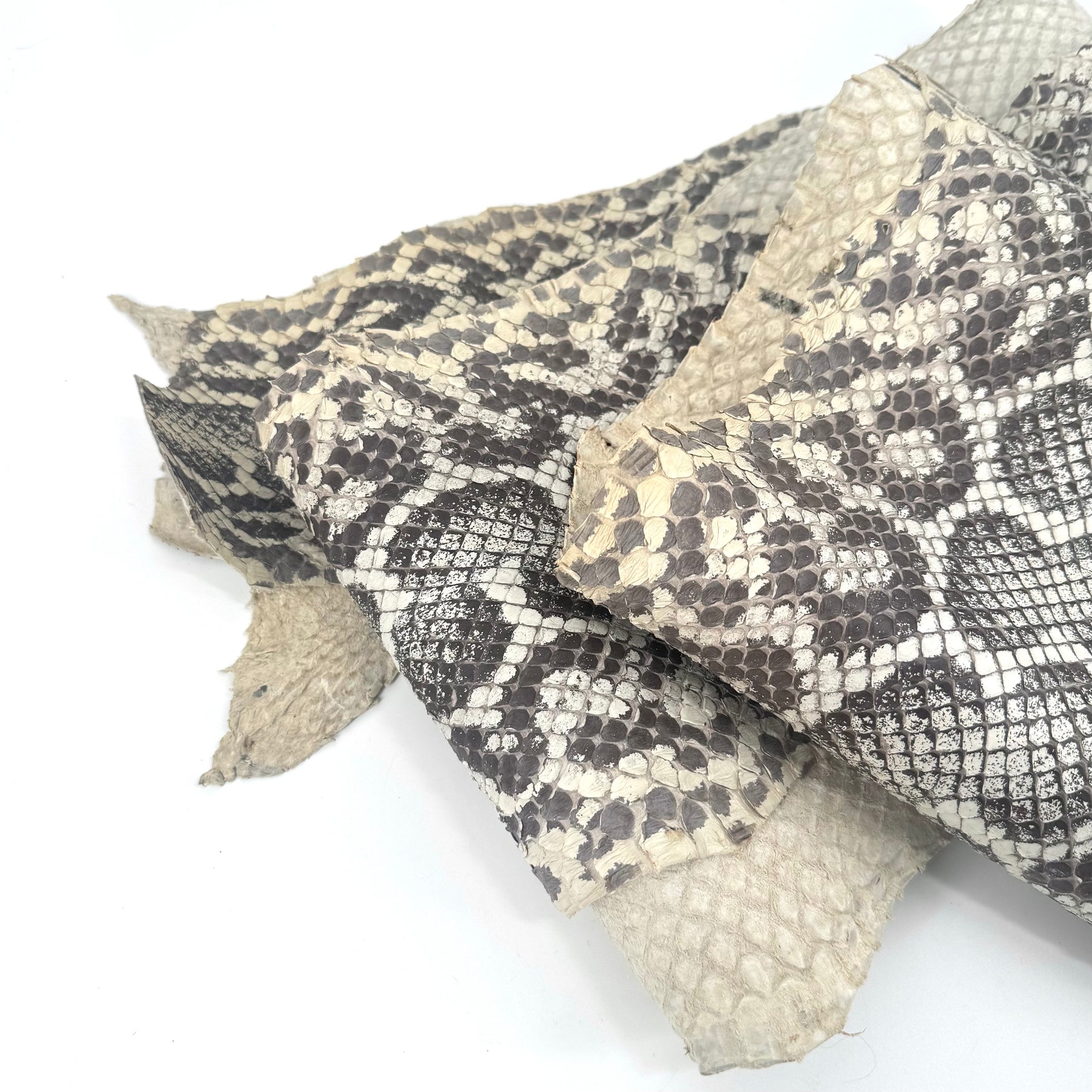 Natural Python Cut #7B - Only 1 Available | SALE