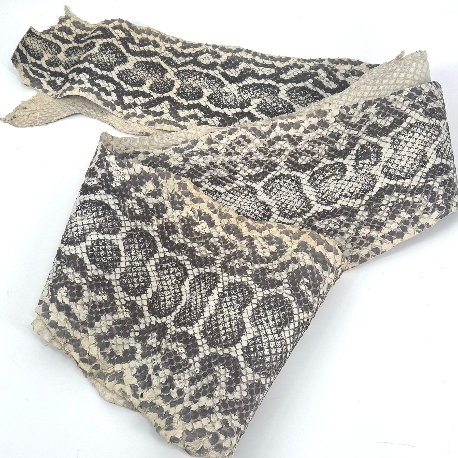 Natural Python Cut #7B - Only 1 Available | SALE