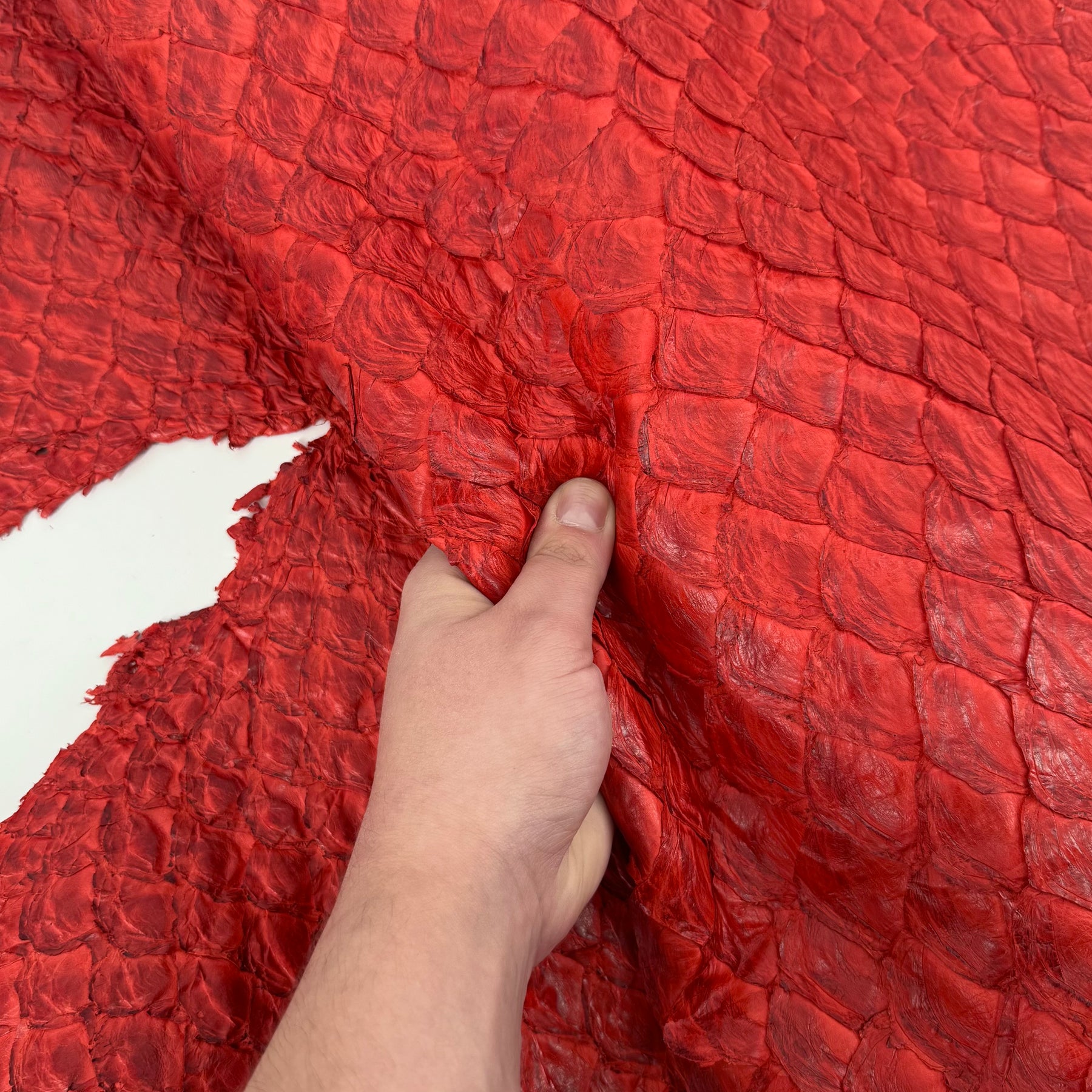 Poppy Red Pirarucu Fish Leather