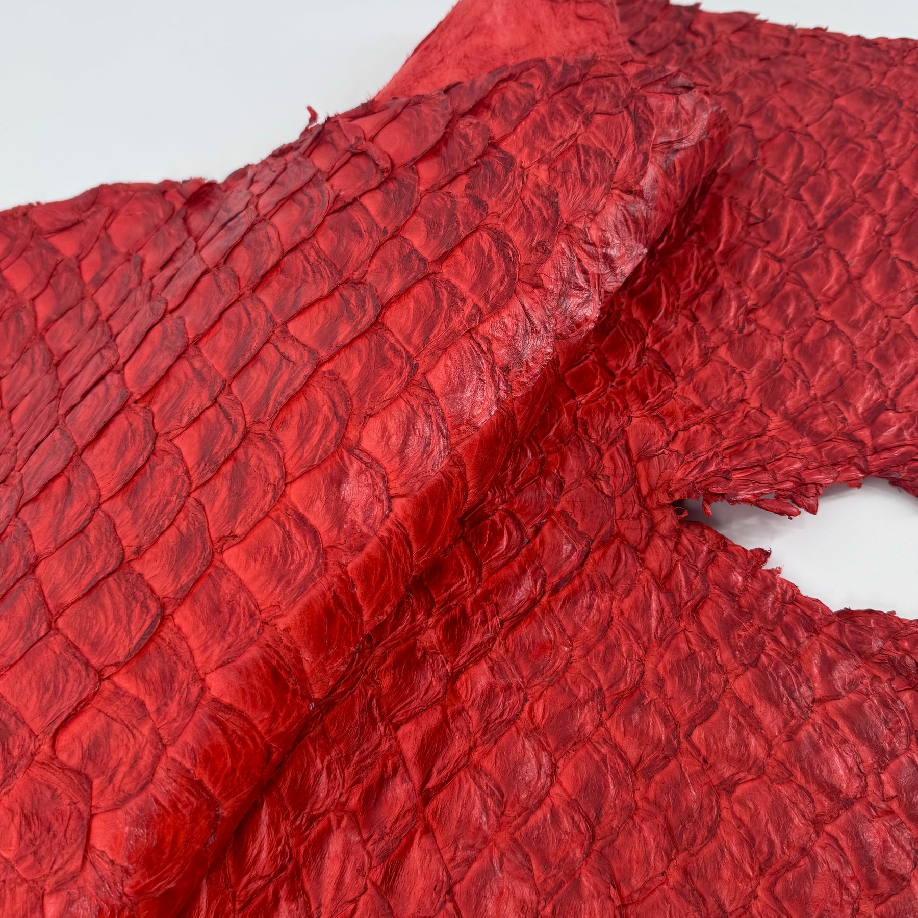 Poppy Red Pirarucu Fish Leather