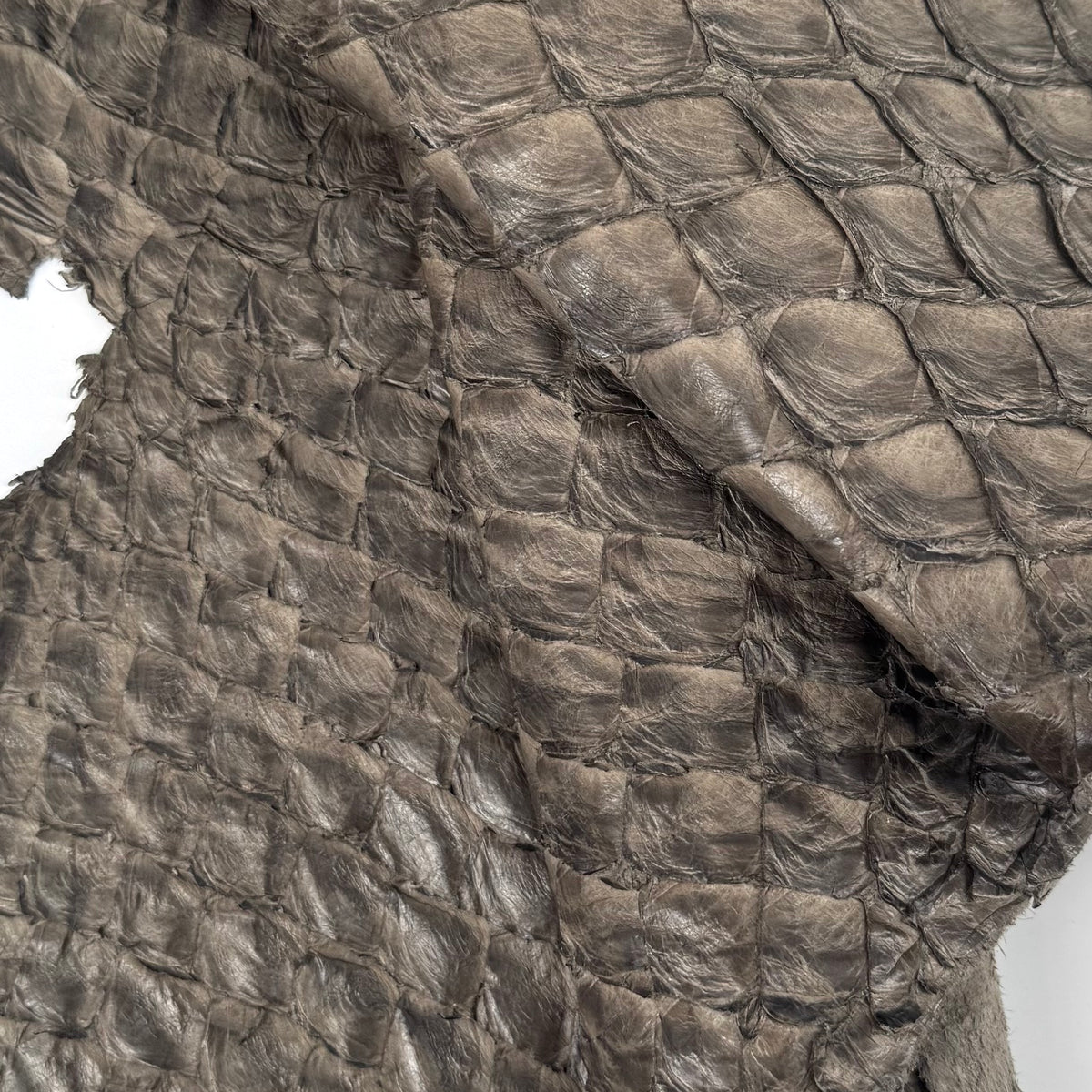 Stone Grey Pirarucu Fish Leather