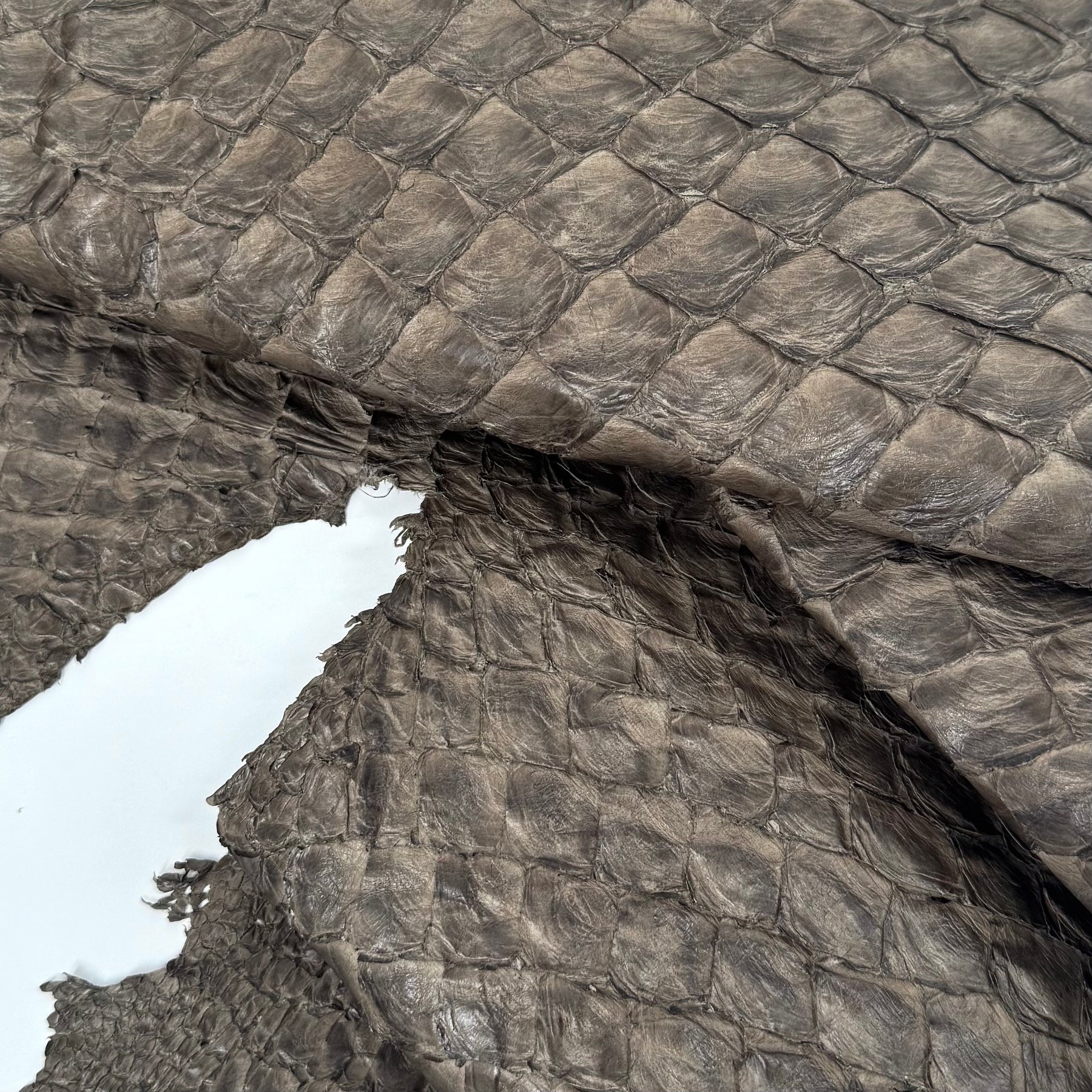 Stone Grey Pirarucu Fish Leather