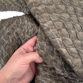 Stone Grey Pirarucu Fish Leather
