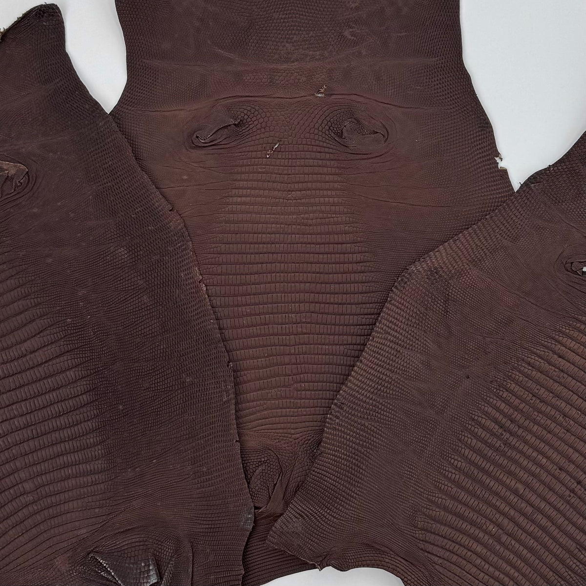 Brown Lizard Skin Bundle of 3 - B#1 | SALE