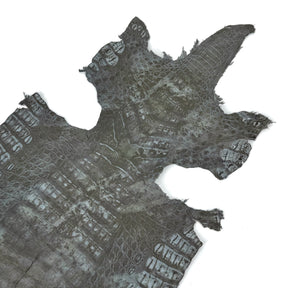 Fury Caiman Crocodile | SALE