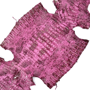 Pink Caiman Crocodile - only 1 available | SALE