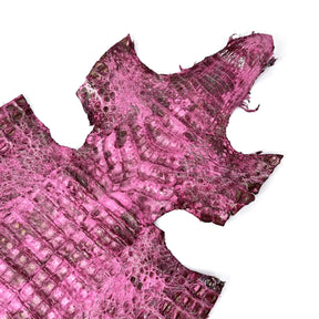 Pink Caiman Crocodile - only 1 available | SALE
