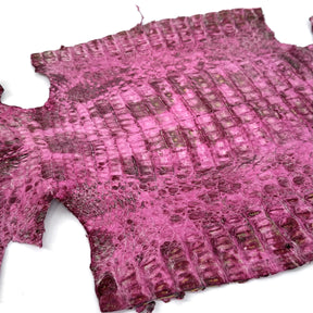 Pink Caiman Crocodile - only 1 available | SALE