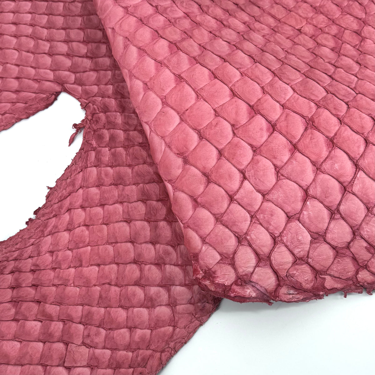 Pink Pirarucu Fish Leather