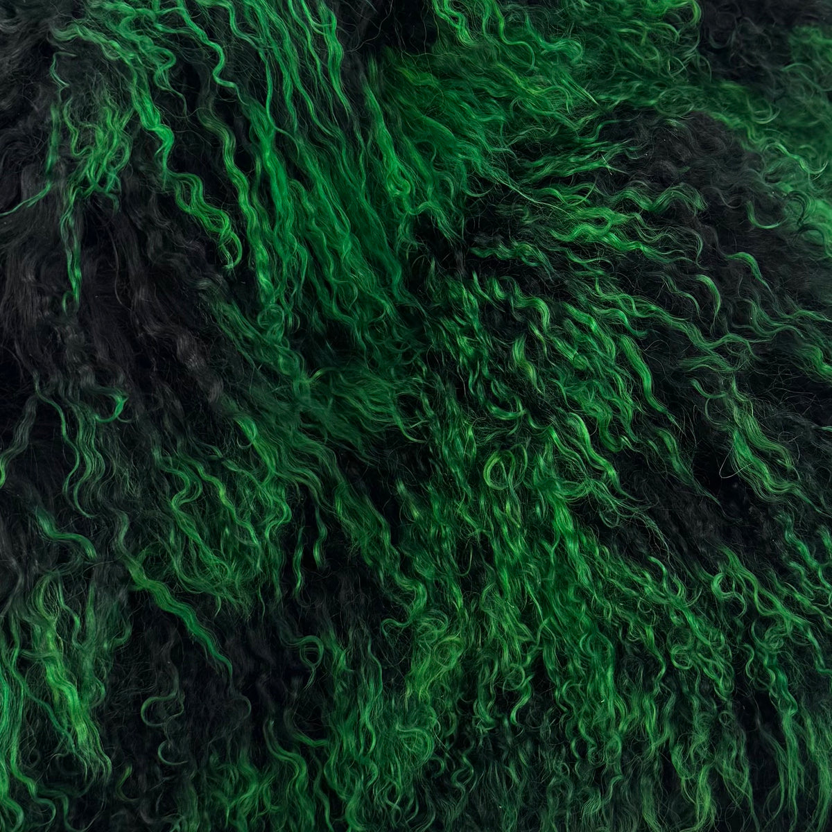 Neon Mongolian Curly Lamb Plate | Limited Stock