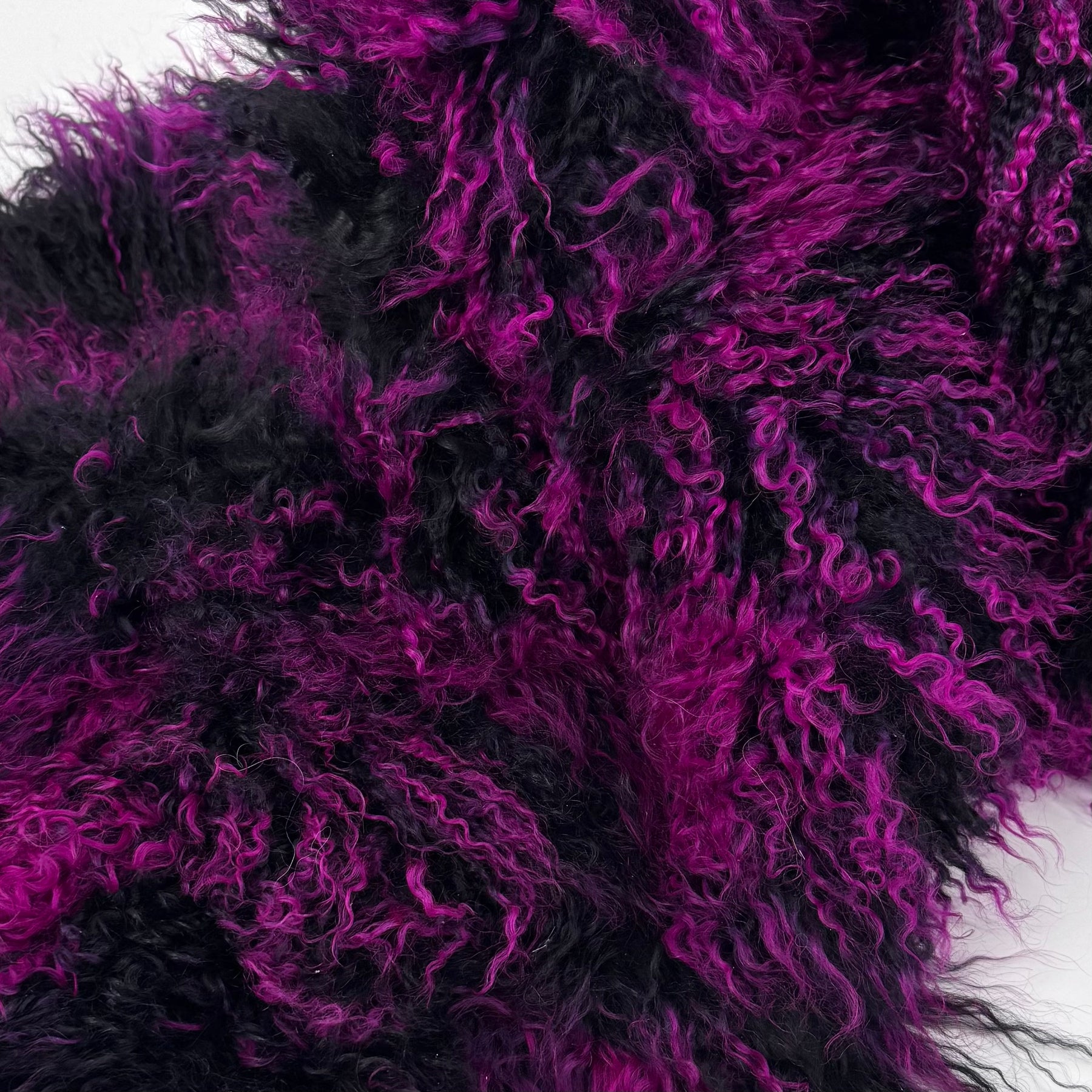 Neon Mongolian Curly Lamb Plate | Limited Stock