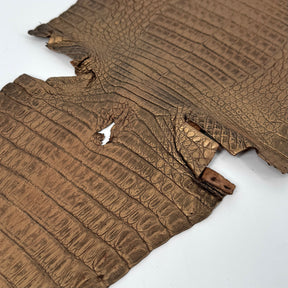 Golden Copper Caiman Crocodile | SALE