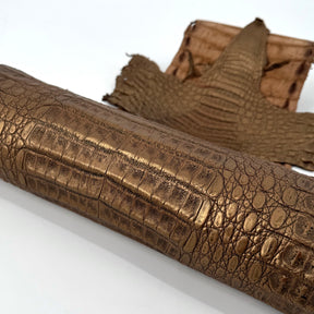 Golden Copper Caiman Crocodile | SALE