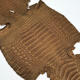 Golden Copper Caiman Crocodile | SALE