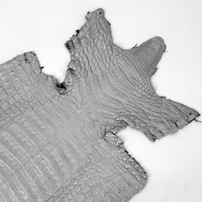 Matte Silver Caiman Crocodile | SALE