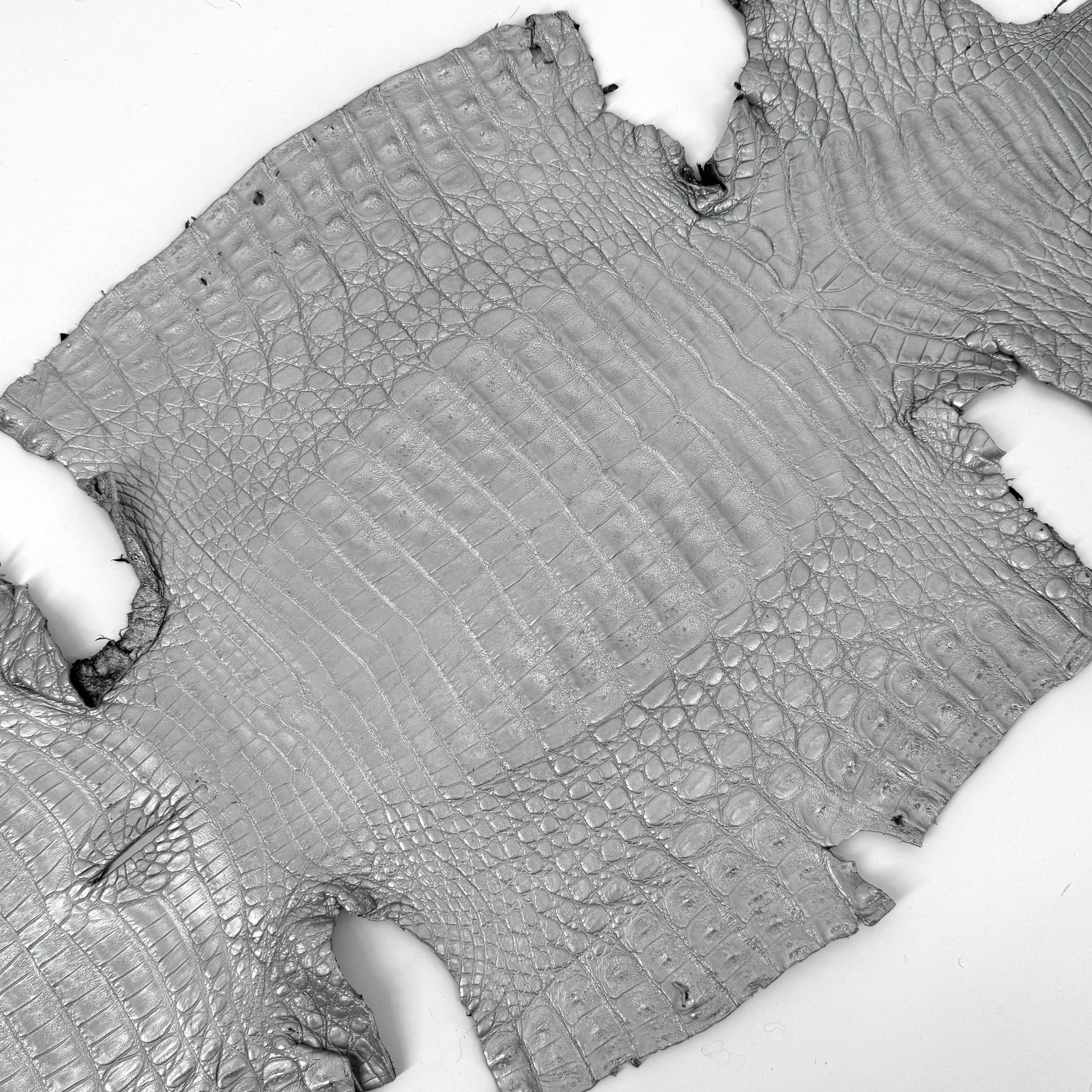 Matte Silver Caiman Crocodile | SALE