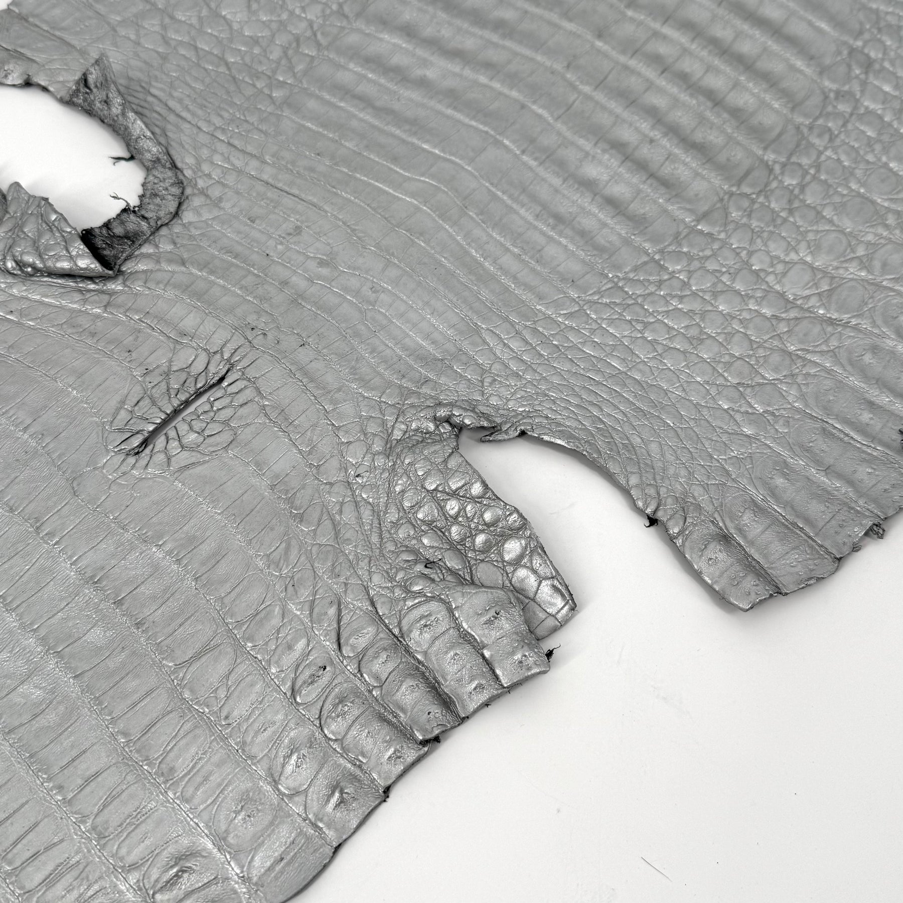 Matte Silver Caiman Crocodile | SALE