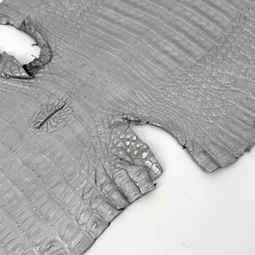 Matte Silver Caiman Crocodile | SALE