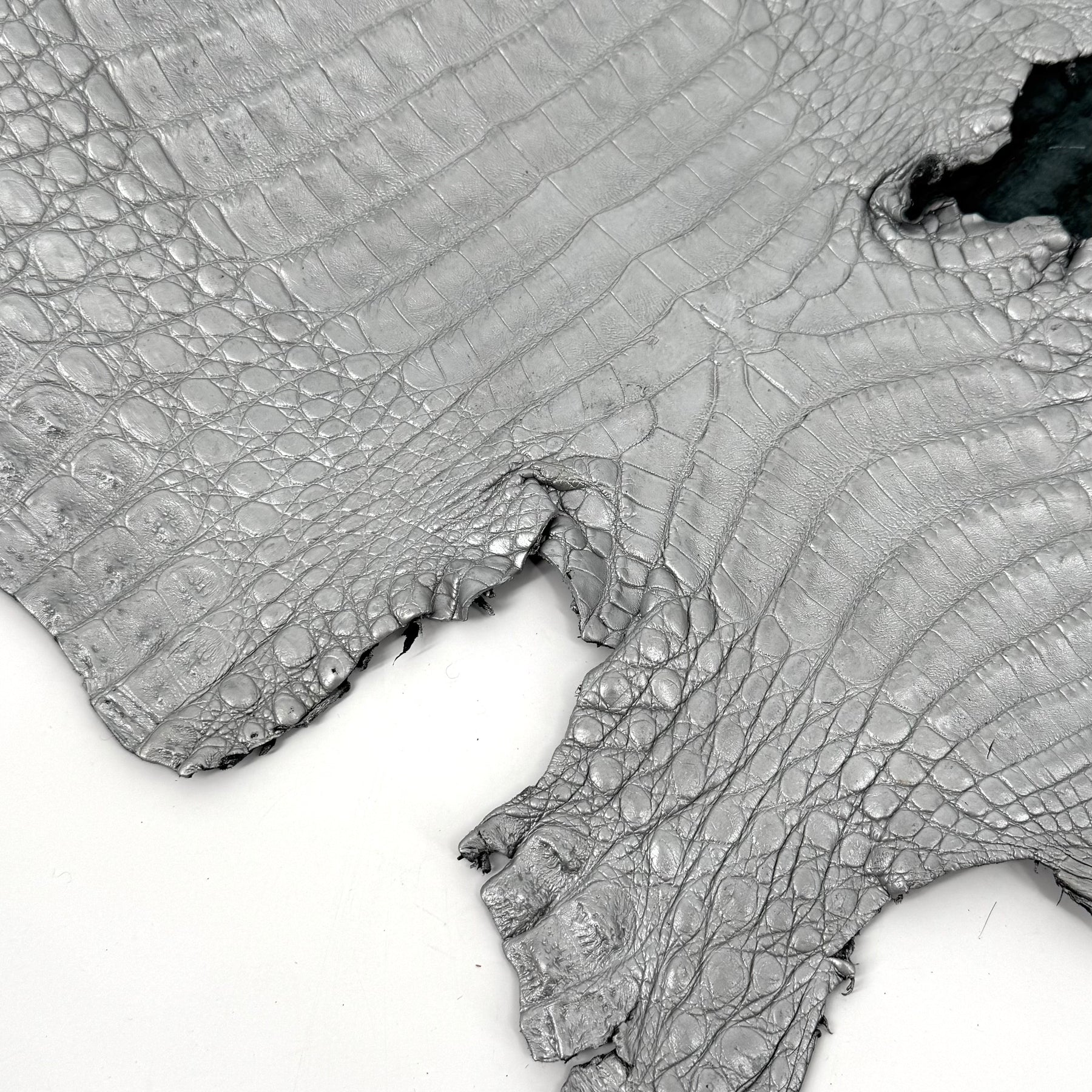 Matte Silver Caiman Crocodile | SALE