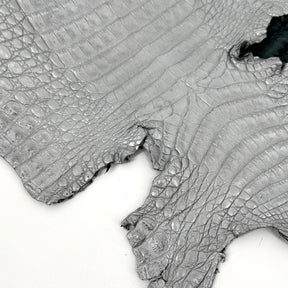 Matte Silver Caiman Crocodile | SALE