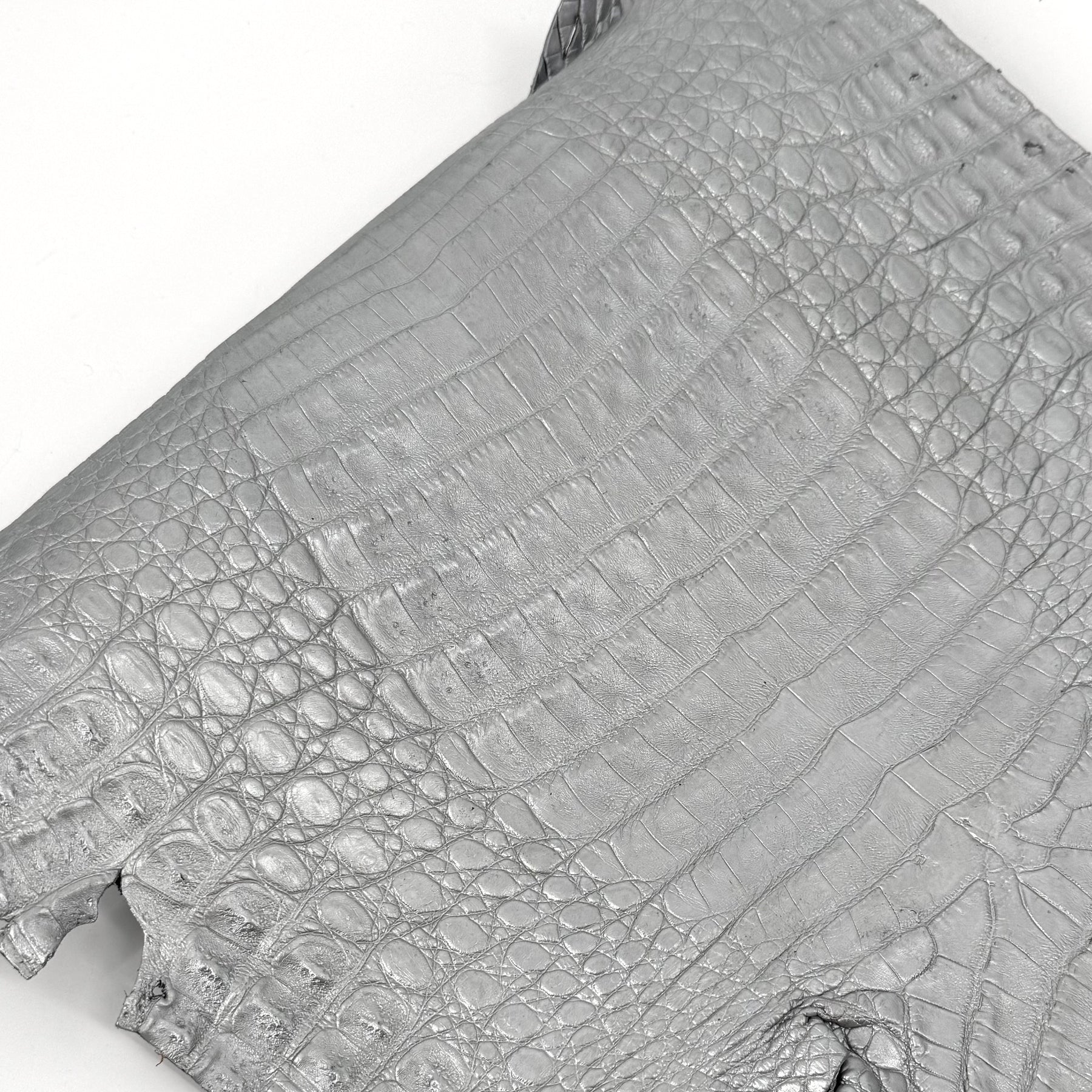 Matte Silver Caiman Crocodile | SALE