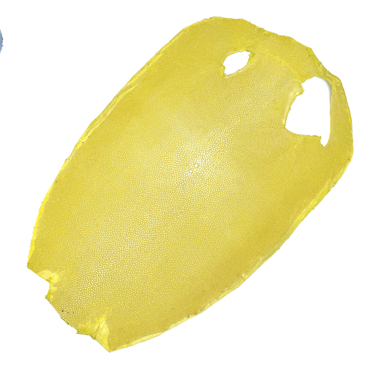 Pastel Sanded/Polished Stingray