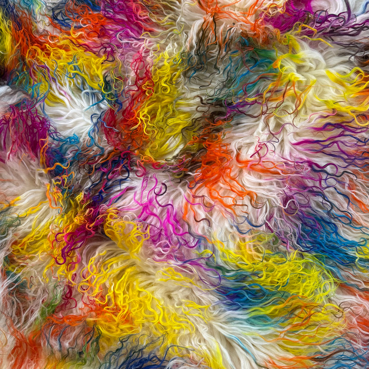 Rainbow Mongolian Curly Lamb Plate | Limited Stock