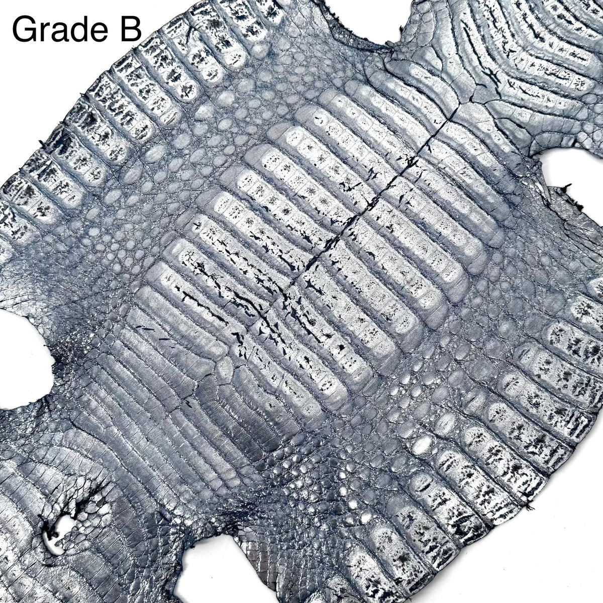 Metallic Caiman Crocodile - only 5 per color | Sale