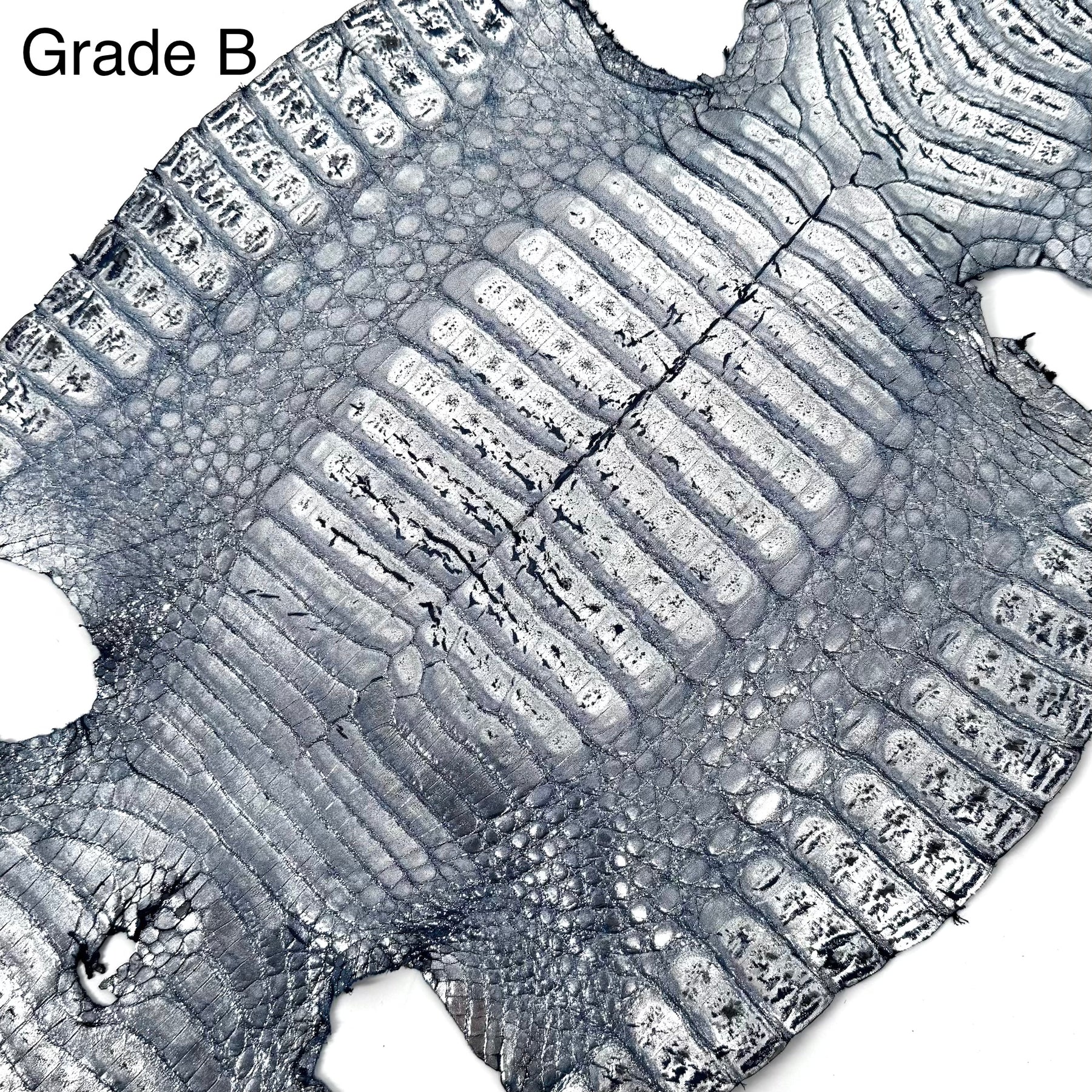 Metallic Caiman Crocodile - only 5 per color | Sale