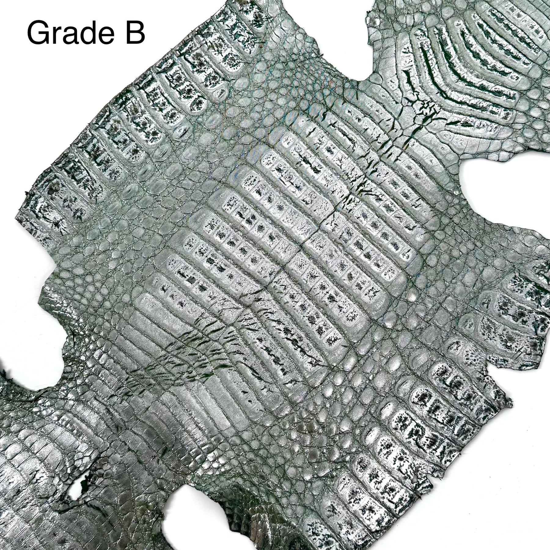 Metallic Caiman Crocodile - only 5 per color | Sale